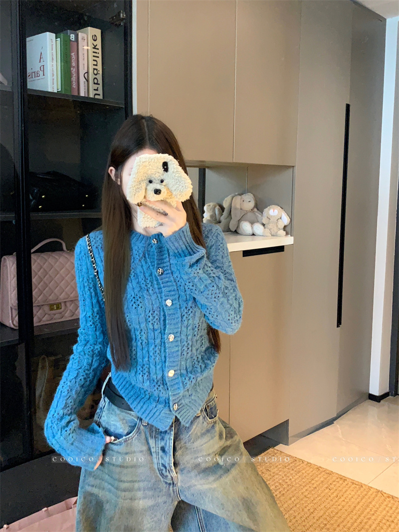 Women's Openwork Knit Cardigan Long Sleeve Sweater Outerwear - Image 2